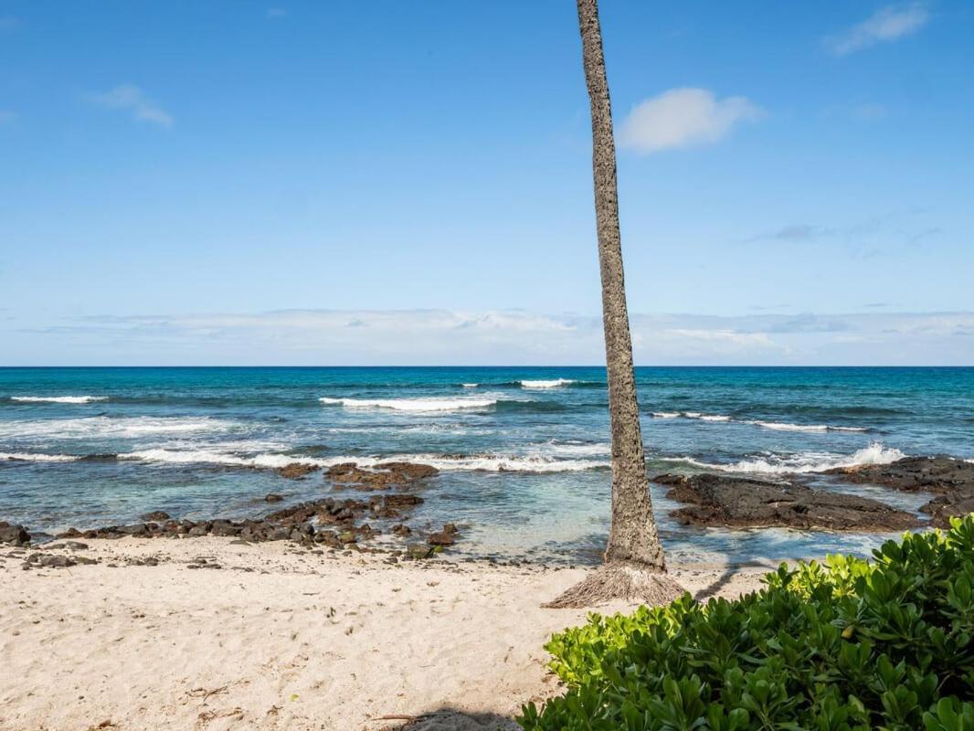 Oceanfront 1 Bedroom 2 Bathroom With Large Lanai - Kona Bali Kai 218 Kailua-Kona Zewnętrze zdjęcie