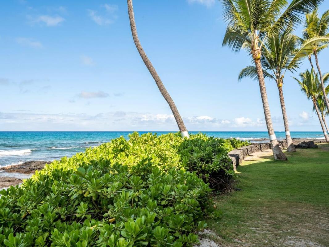 Oceanfront 1 Bedroom 2 Bathroom With Large Lanai - Kona Bali Kai 218 Kailua-Kona Zewnętrze zdjęcie